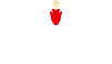  Hauskrankenpflege 
